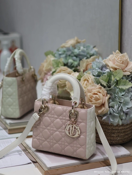 Tony Luxuries LADY DI0R-20CM 0717